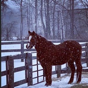 Meet your Posher, Jane